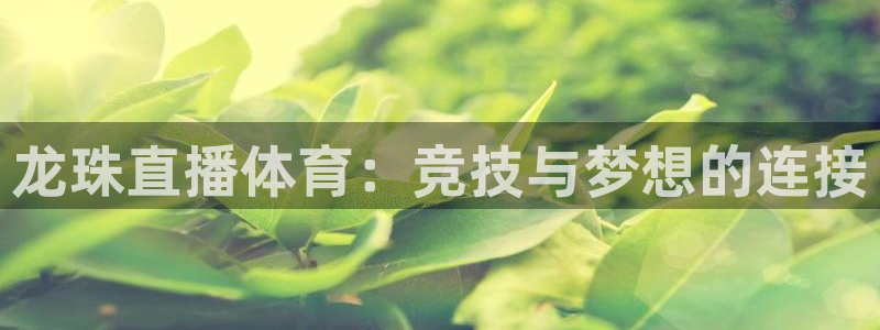 龙珠直播体育：竞技与梦想的连接