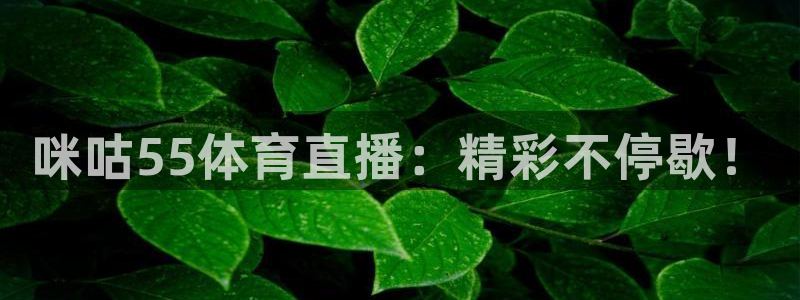 咪咕55体育直播：精彩不停歇！